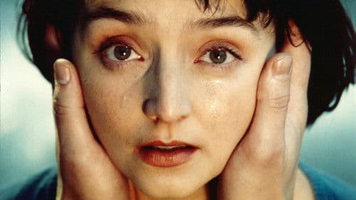 Três Irmãos Bild 1