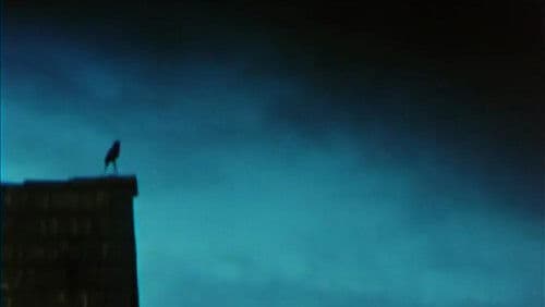 Listening to the Space in My Room Bild 4