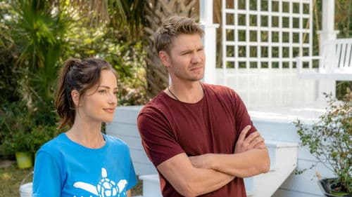 The Beach House Bild 3