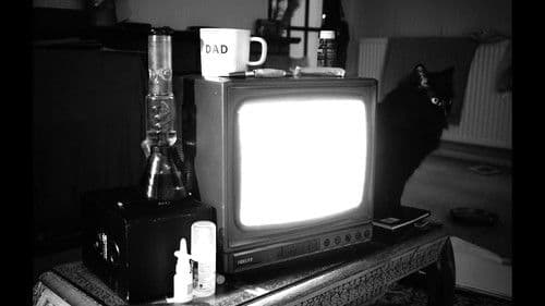 Lesbian Vampire Seeking Jewish Lover Bild 5