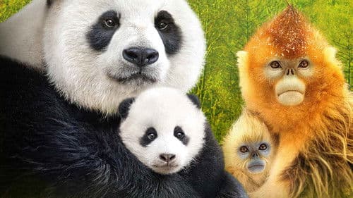 Expedition China Bild 6