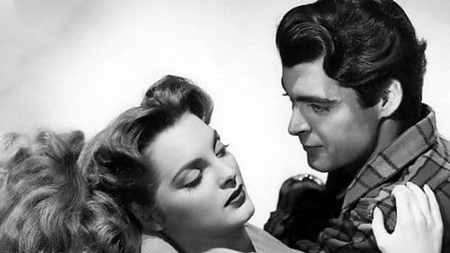 Das Rote Haus Bild 5