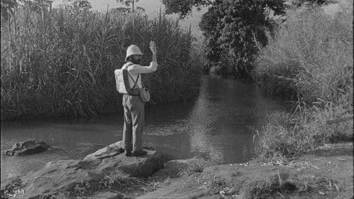 Tabu - Eine Geschichte von Liebe und Schuld Bild 8