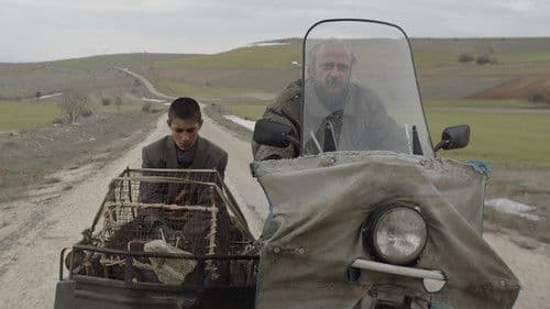 Tavşan İmparatorluğu Bild 2