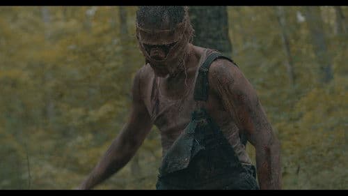 Piglet Rising Bild 1