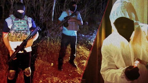 Narco Business Bild 3