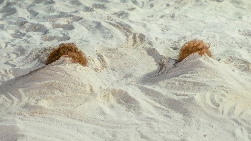 Barb & Star Go to Vista Del Mar Bild 6