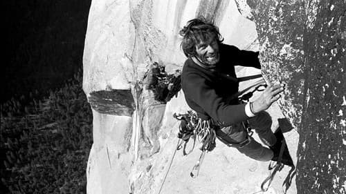 Warren Harding - Recollections of the Wall of the Early Morning Light Bild 3