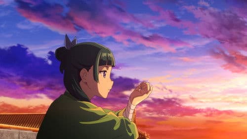 Die Tagebücher der Apothekerin Bild 7