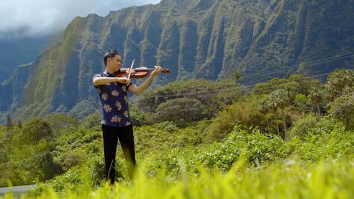 하와이 연가 Bild 2