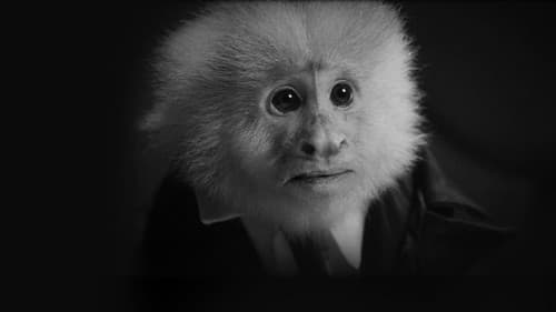 WHAT DID JACK DO? Bild 2