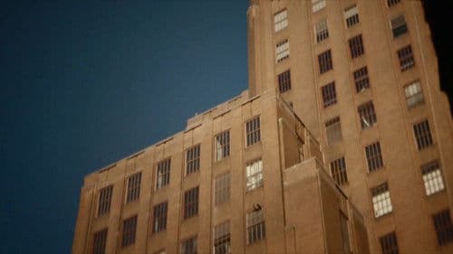 Jackals & Fireflies Bild 4