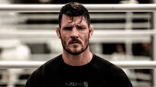 Bisping Bild 5