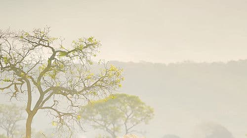 Oeste Outra Vez Bild 7