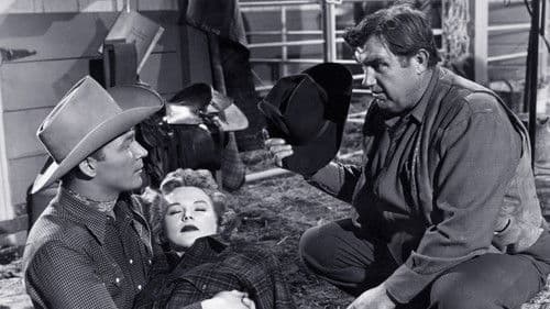 Under Western Stars Bild 1