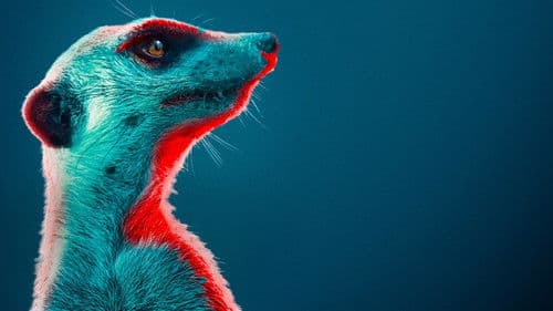 Haus der Erdmännchen Eine Familiensaga Bild 2