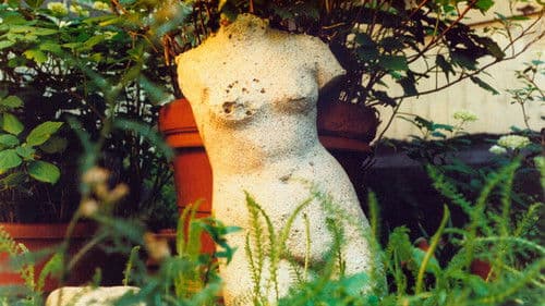 The Odds of Recovery Bild 1