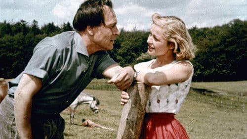 Hochzeit auf Immenhof Bild 1