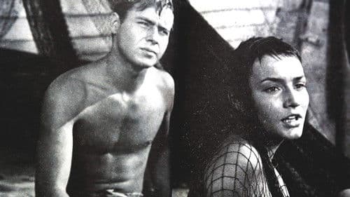 Слънцето и сянката Bild 2