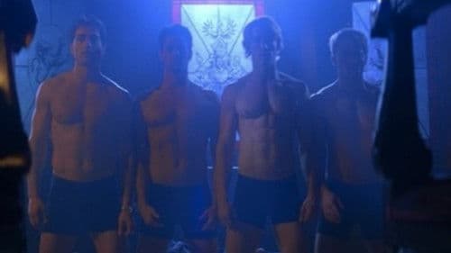 Wolves of Wall Street Bild 2