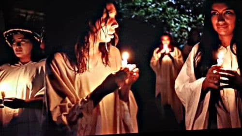 El Gran Árbol Bild 1