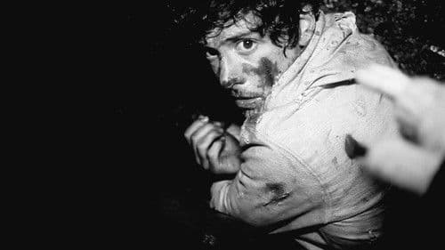 A Night in the Woods Bild 2