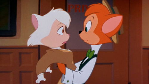 Danny der Kater Bild 7