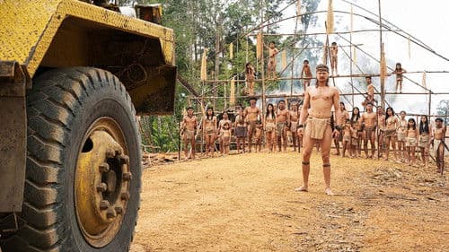 Die Stimme des Regenwaldes Bild 1