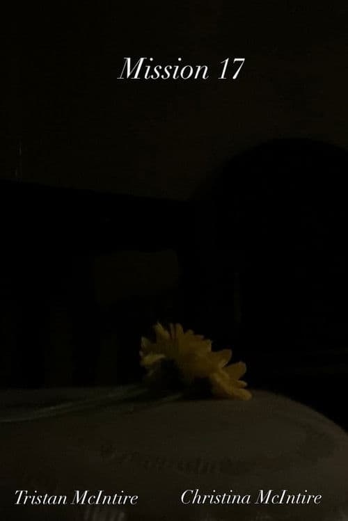 Mission 17