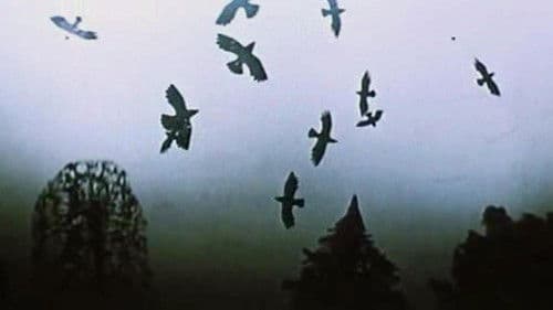 Времена года Bild 4