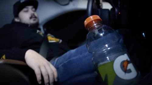 Passenger Princess Bild 1