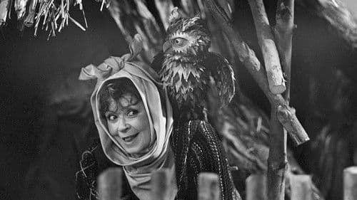 Jak se peče štěstí Bild 3