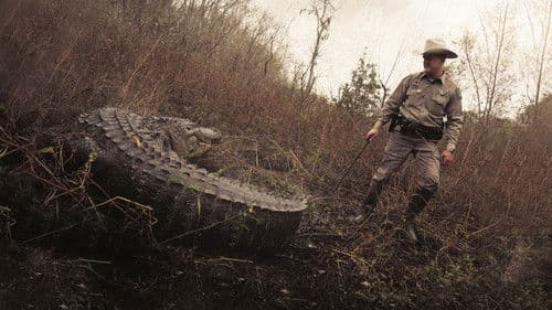 Lone Star Law Die Gesetzeshüter von Texas Bild 2