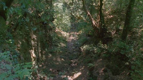 Quei loro incontri Bild 5