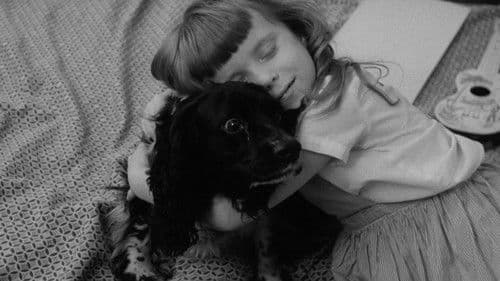 The Dog Lover Bild 1