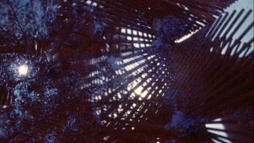 Reality's Invisible Bild 2