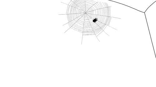 Паутинка Bild 8