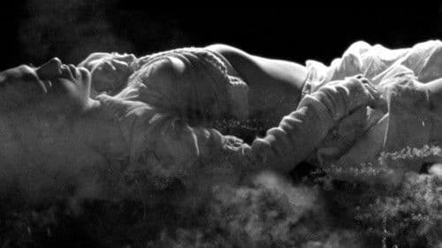 Boro in the Box Bild 2