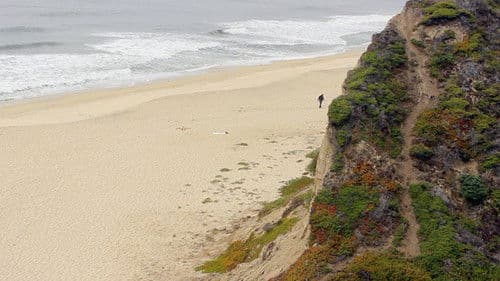 European Man...American Beach Bild 4