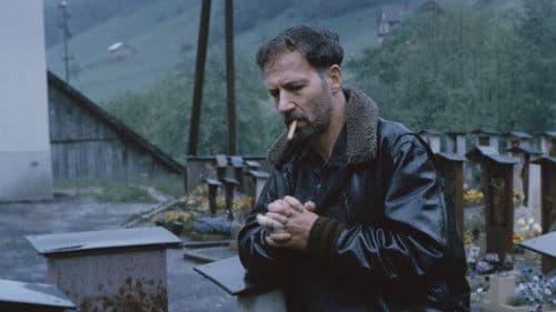 Gekauftes Glück Bild 1