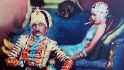 His Tiger Lady Bild 1