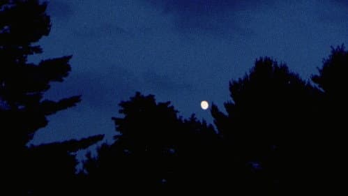 Pilgrim, Farewell Bild 8