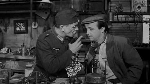 Giuseppe w Warszawie Bild 6