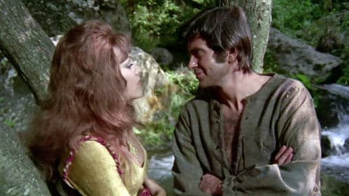 Das normannische Schwert Bild 5