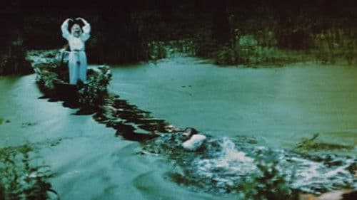 Лісова пісня. Мавка Bild 8