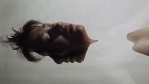 XX 美しき機能 Bild 4