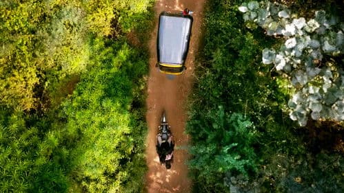 கொட்டுக்காளி Bild 2