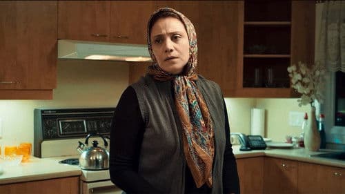 ستاره بازی Bild 2