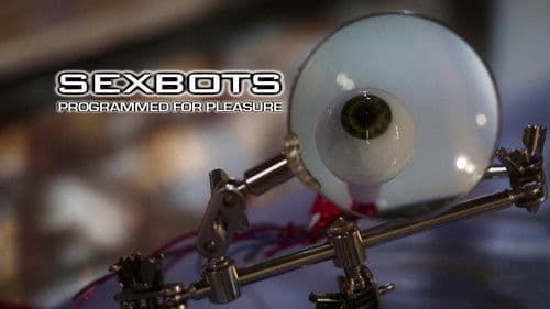 Sexbots Bild 8