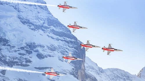 Patrouille Suisse Bild 2